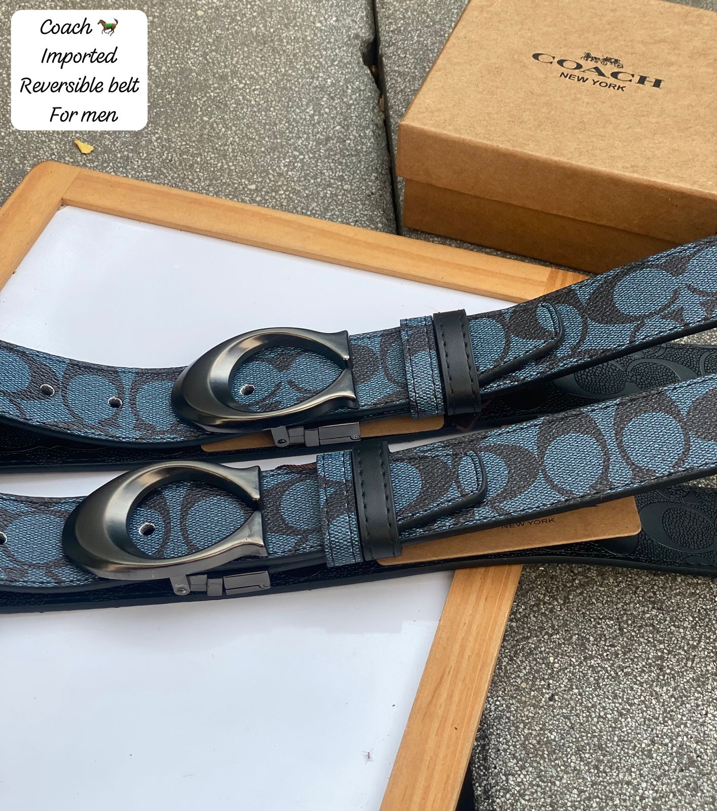 COACH BELT